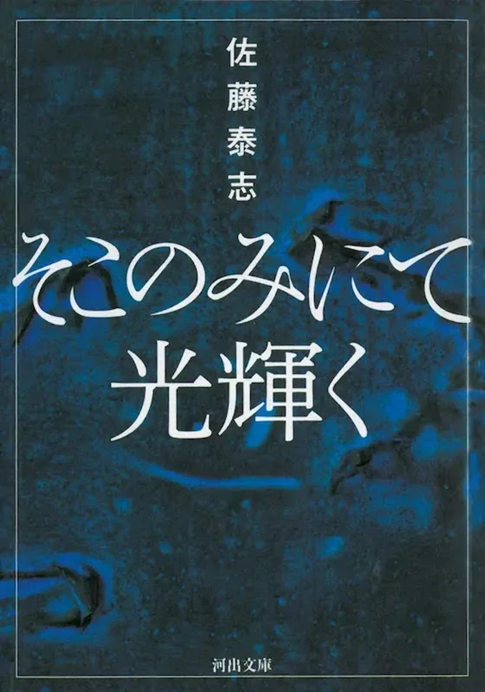 img of 『そこのみにて光輝く』 佐藤泰志 【あらすじ・感想】