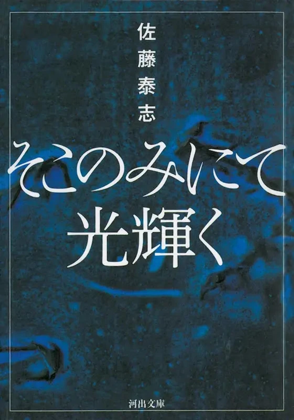 img of 『そこのみにて光輝く』 佐藤泰志 【あらすじ・感想】